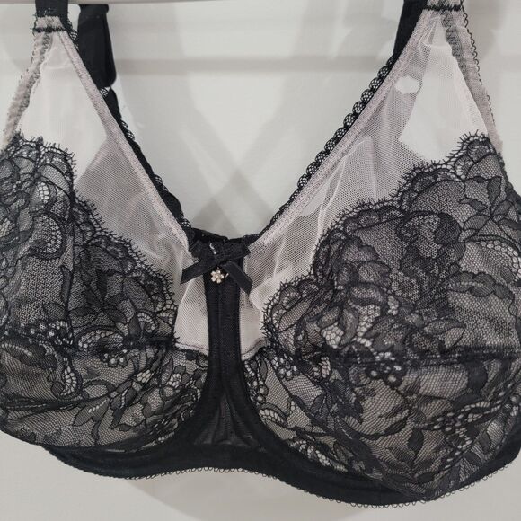 Elegant Black Lace Bra - Picture 2 of 4